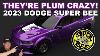 2023 Dodge Super Bee They Re Plum Crazy